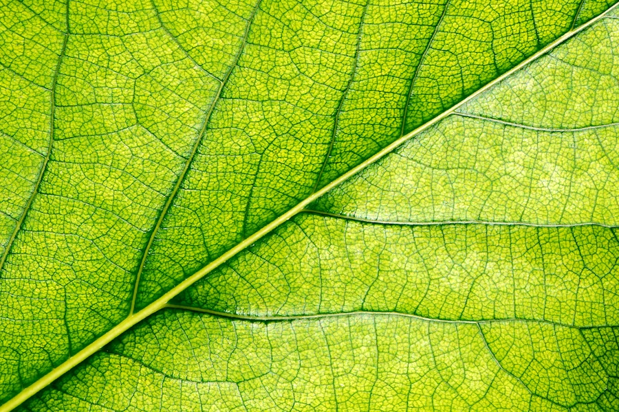 Understanding Your Inner Patterns